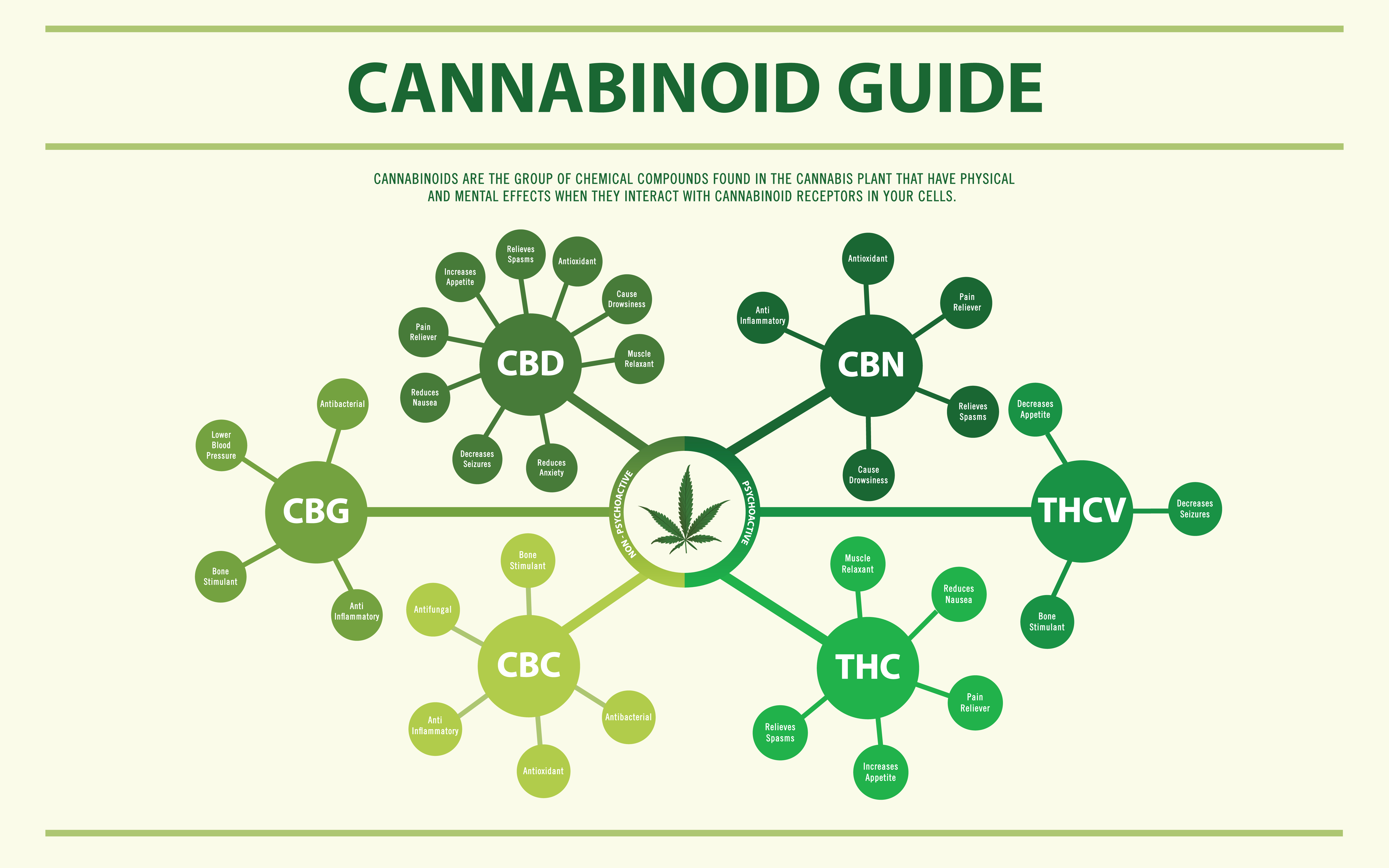 Cannabinoids 101 - Spotlight On CBN (Cannabinol) - Cannadelics