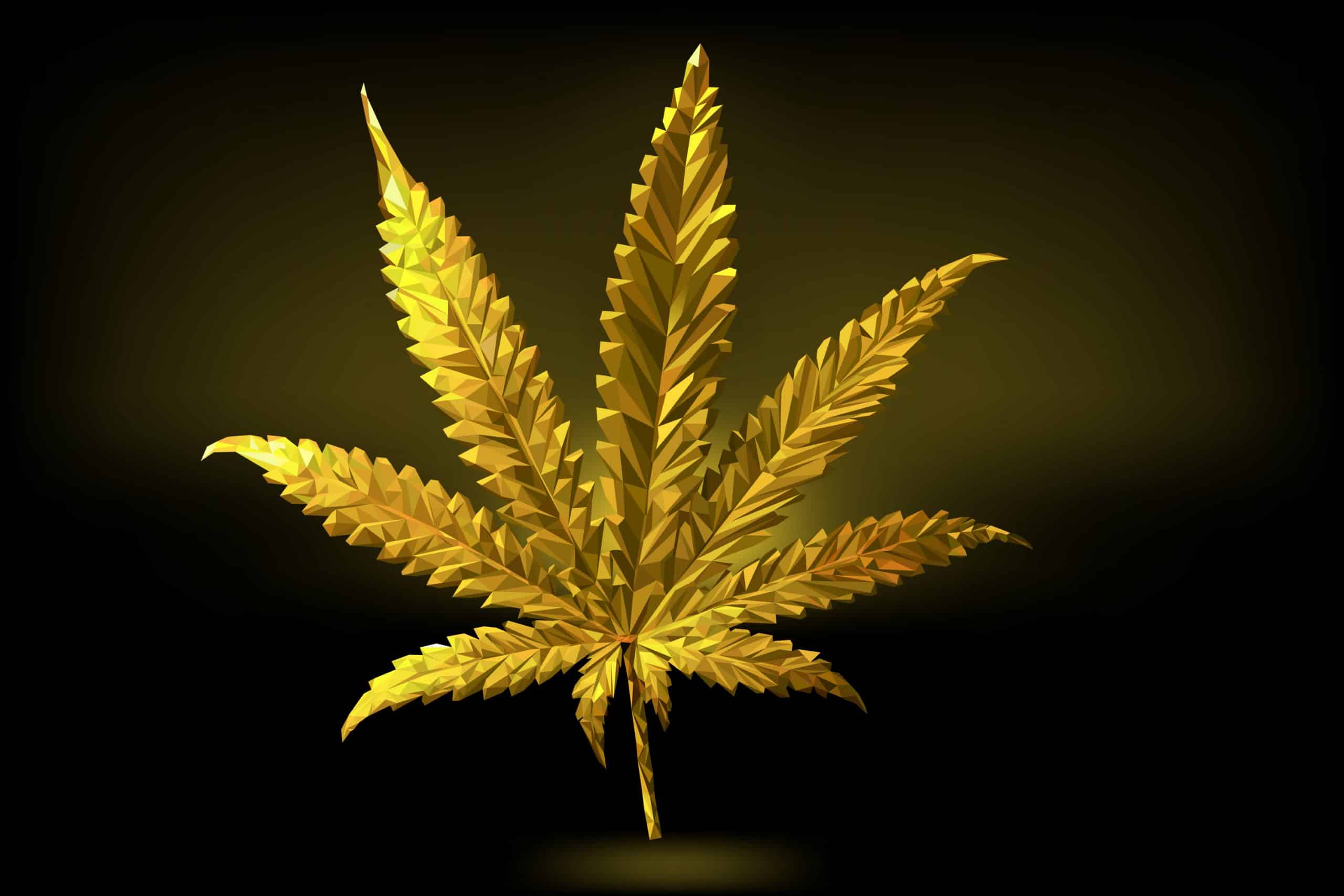 Is Cannabis the New Gold? CBD Testers